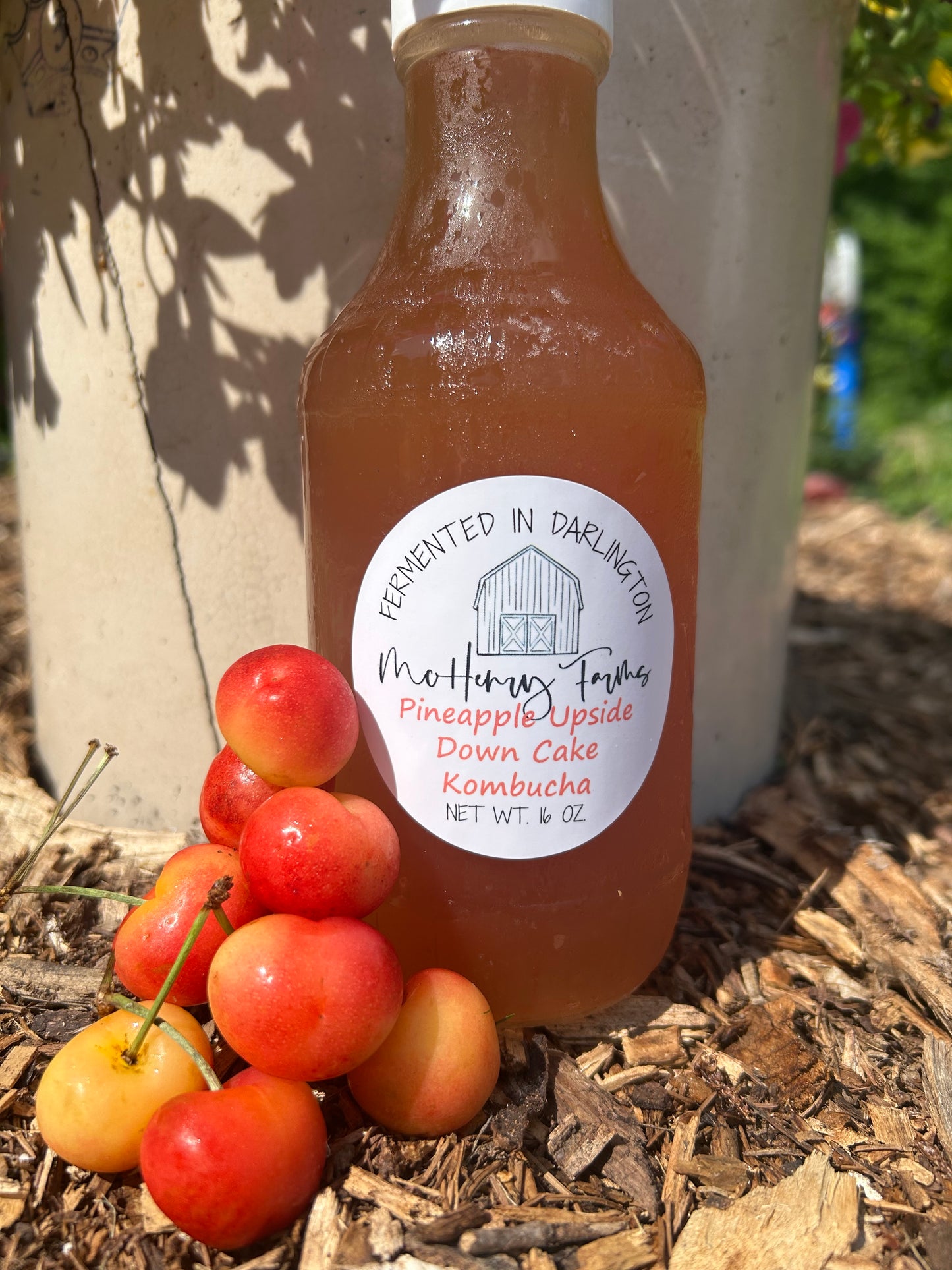 Pineapple Upside Down Cake Kombucha