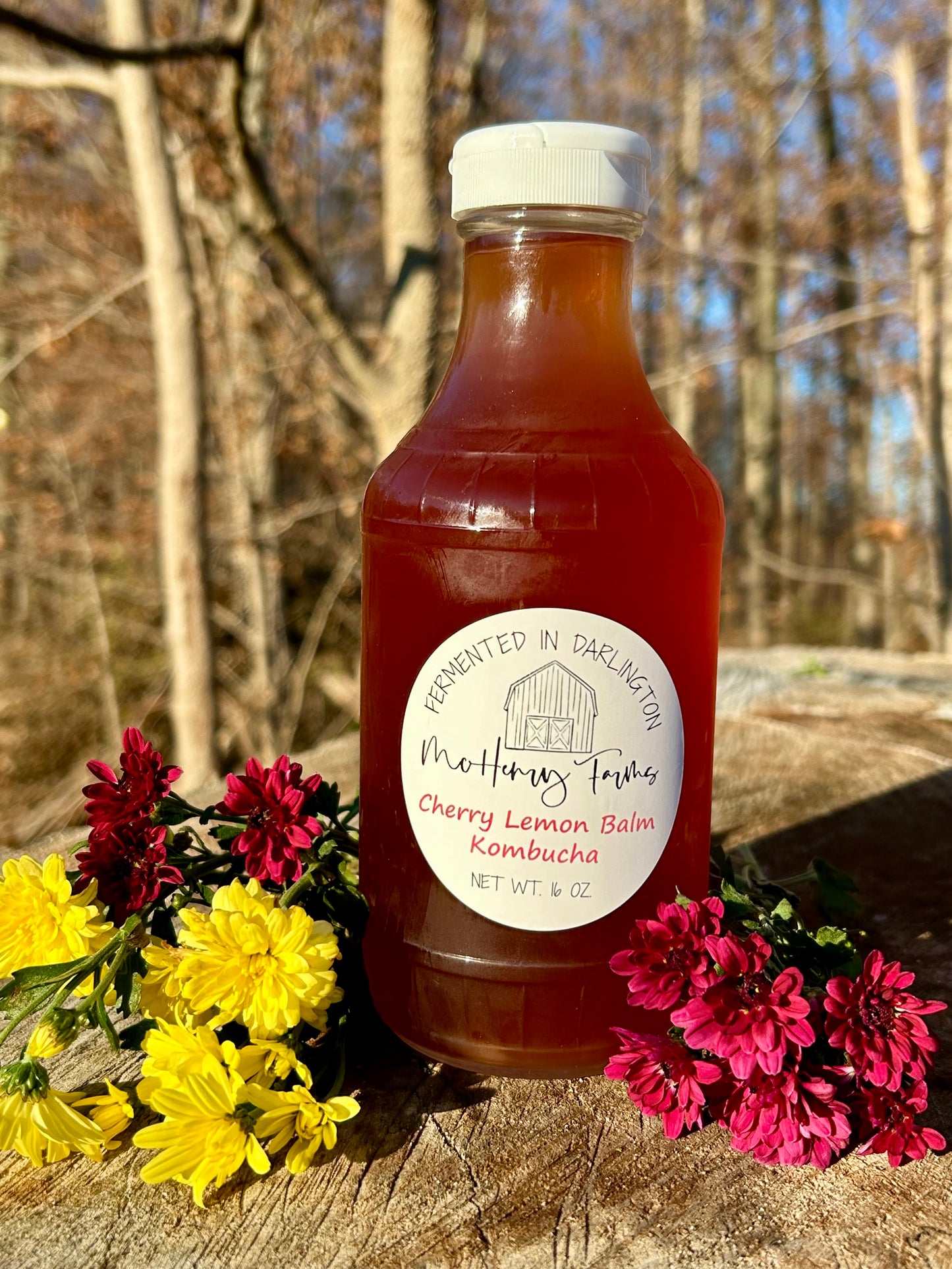 Cherry Lemon Balm Kombucha