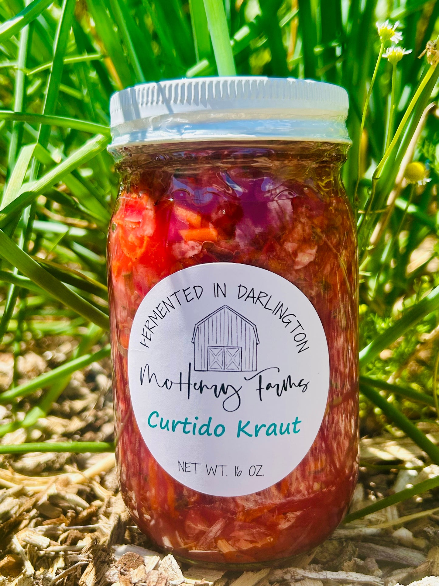 Curtido Kraut