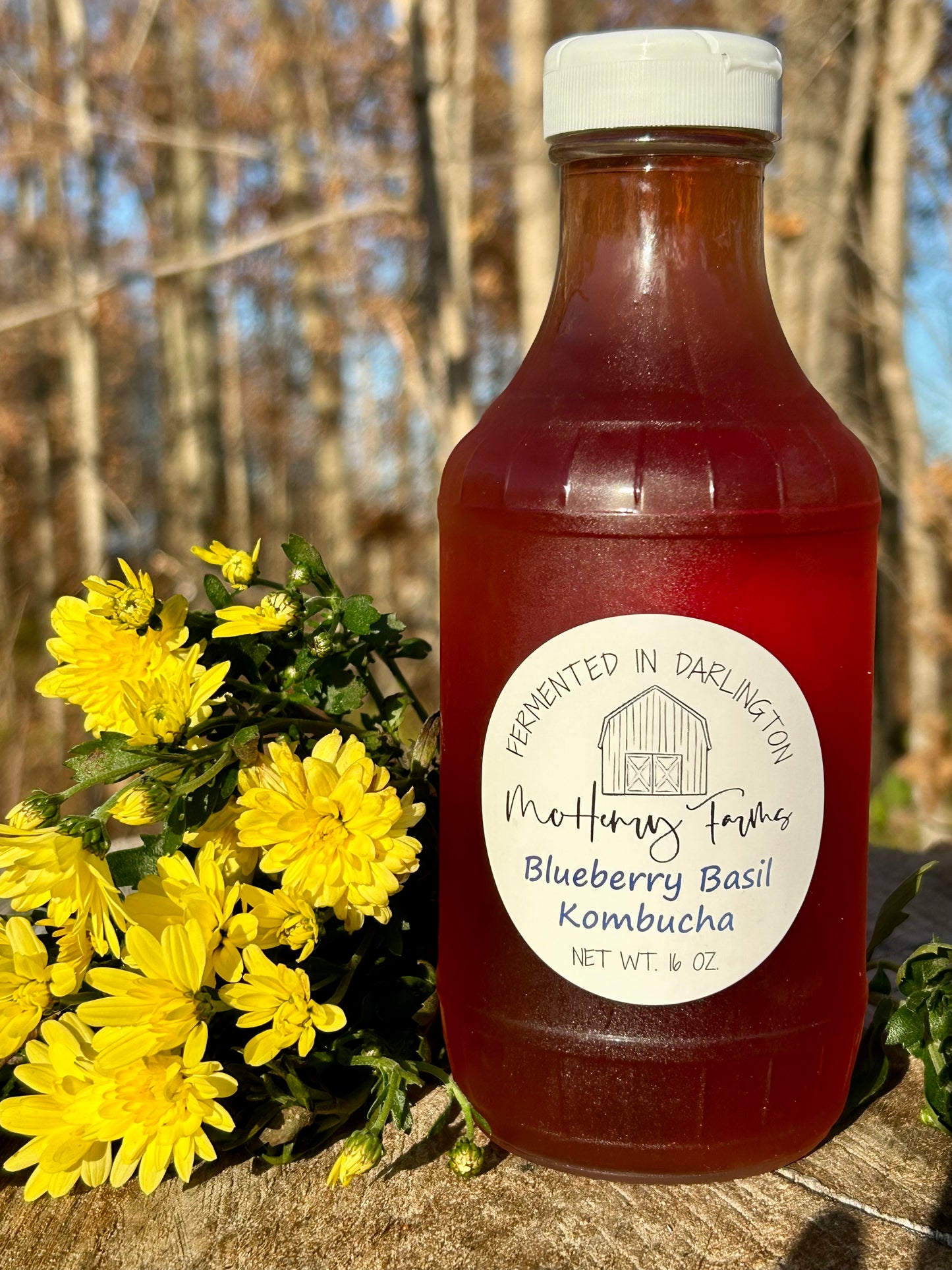 Blueberry Basil Kombucha