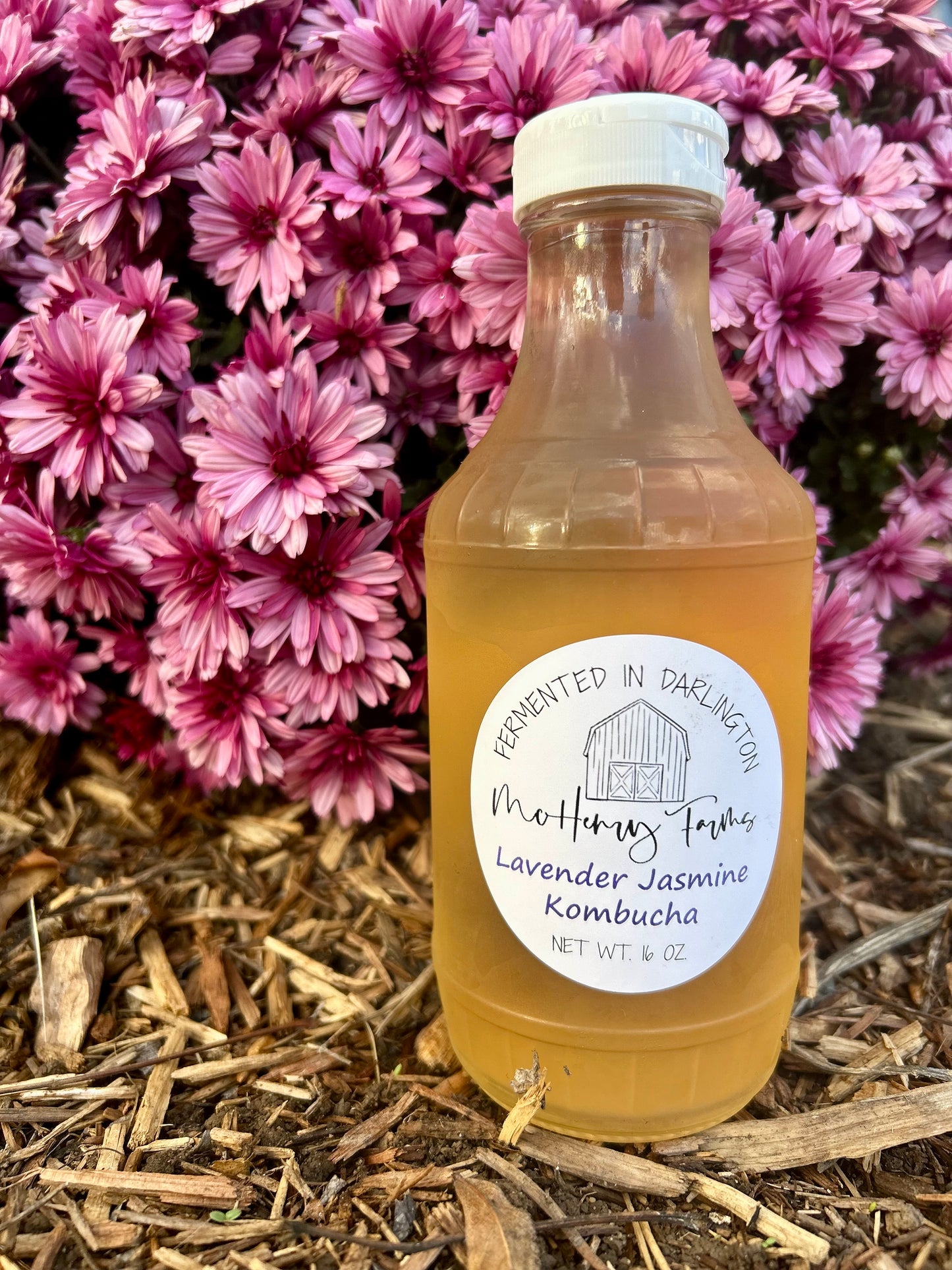 Lavender Jasmine Kombucha