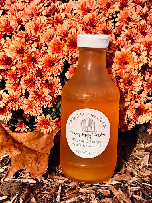 Pineapple Mango Nettle Kombucha