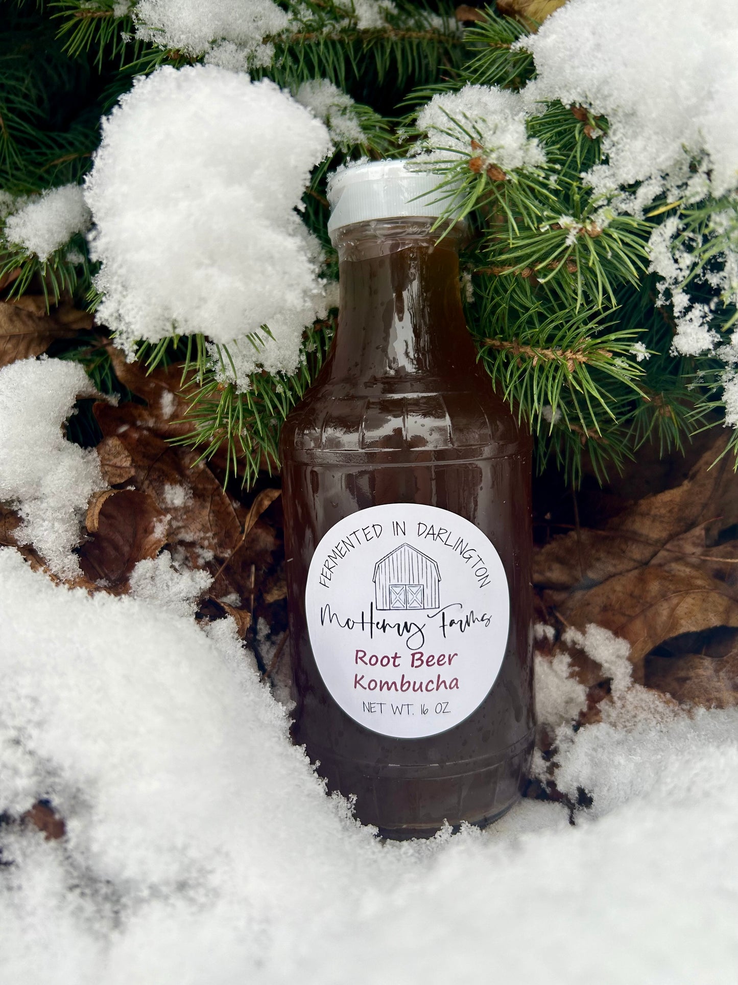Herbal Root Beer Kombucha