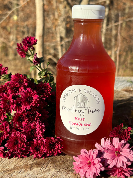Rose Kombucha