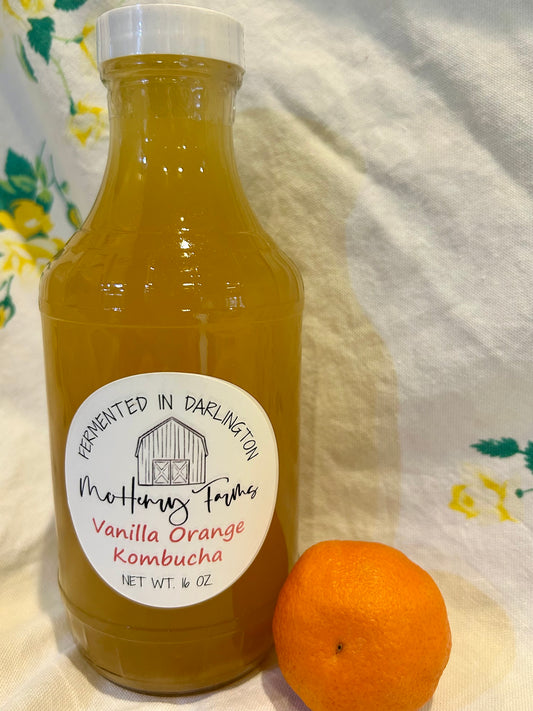 Vanilla Orange Kombucha