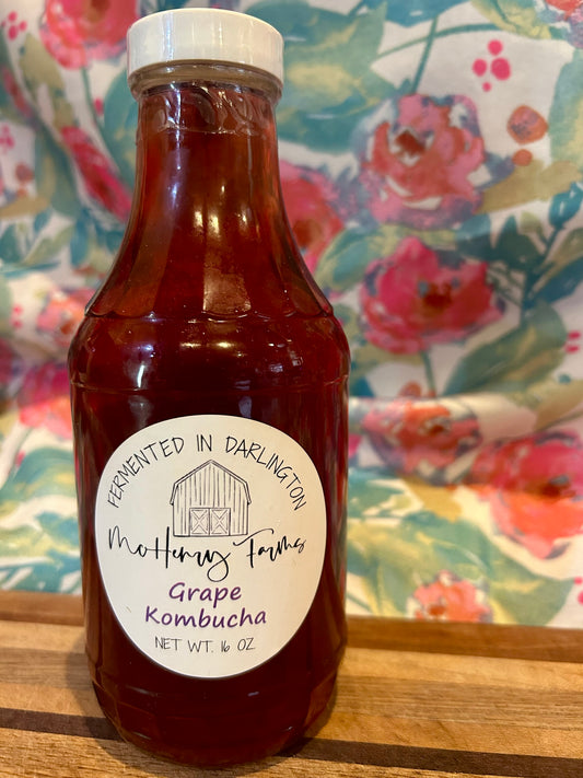 Grape Kombucha