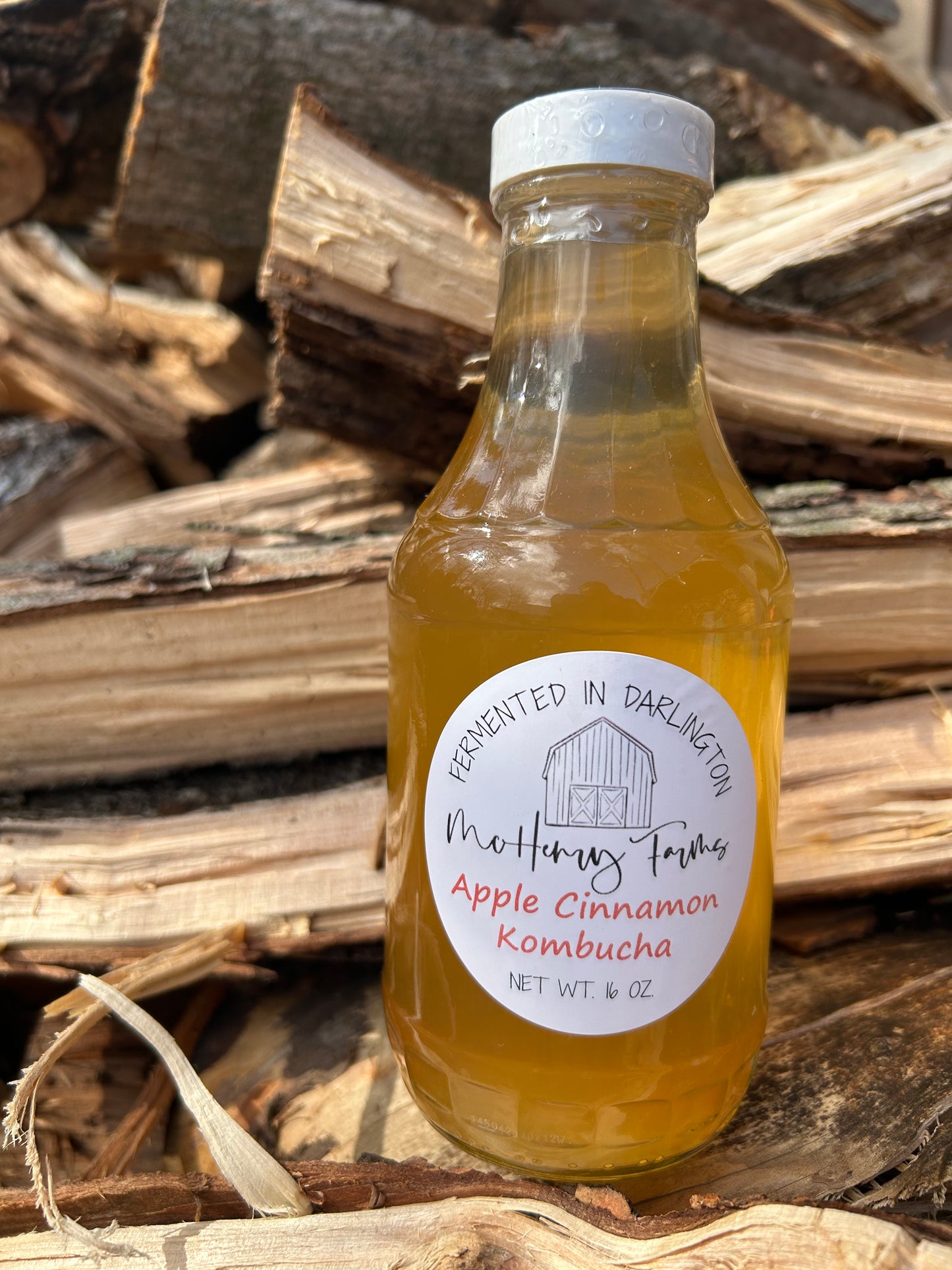 Apple Cinnamon Kombucha