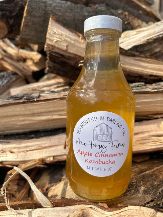 Apple Cinnamon Kombucha