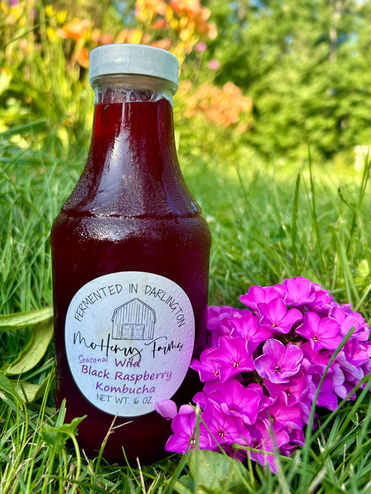 Wild Black Raspberry