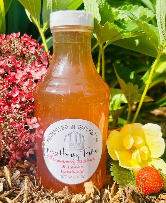 Strawberry Rhubarb Lemon Kombucha