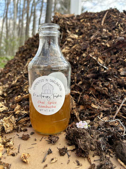 Chai Spice Kombucha