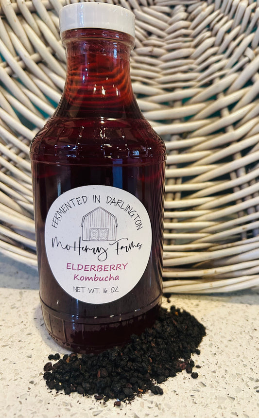 Elderberry Kombucha