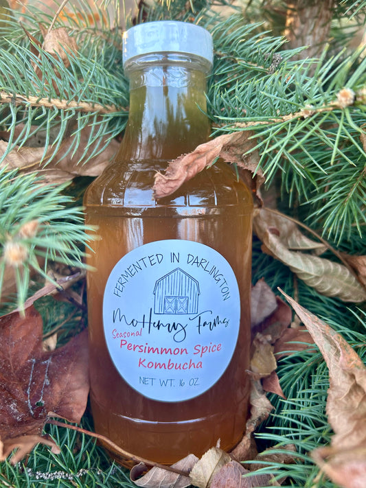 Persimmon Spice Kombucha